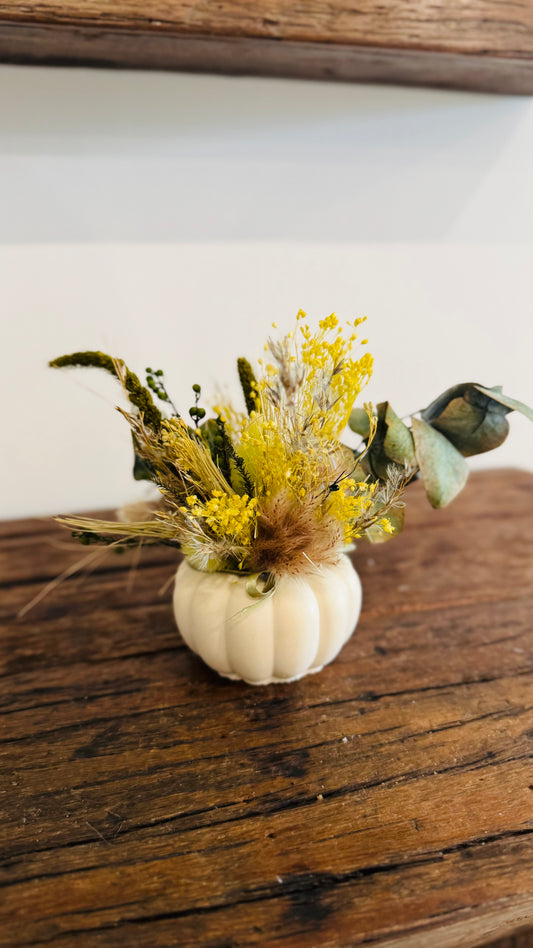 Petit citrouille fleur séchée