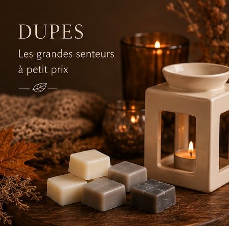 Fondants parfum Dupe