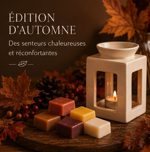 Fondants parfums « collection d’Automne »